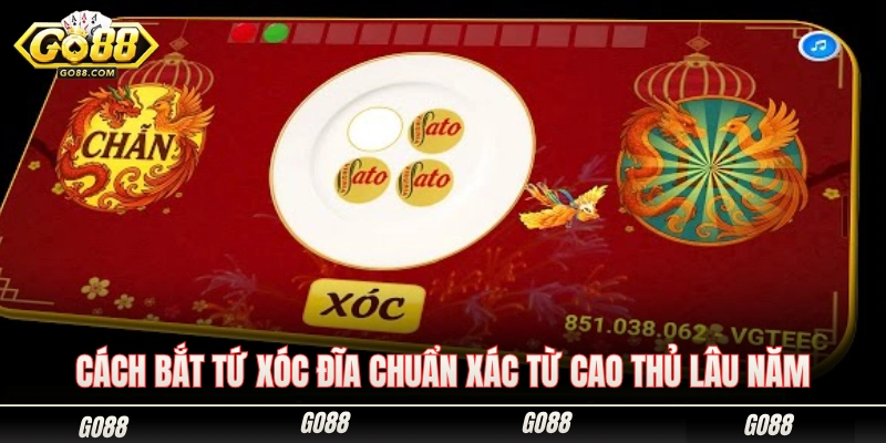 Cách bắt tứ xóc đĩa chuẩn xác đúc kết từ cao thủ kỳ cựu 